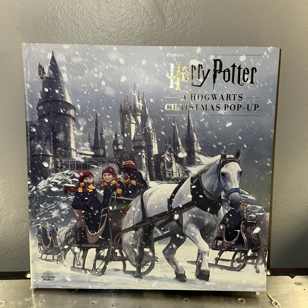 From the Films Harry Potter A Hogwarts Christmas Pop Up reusable advent calendar